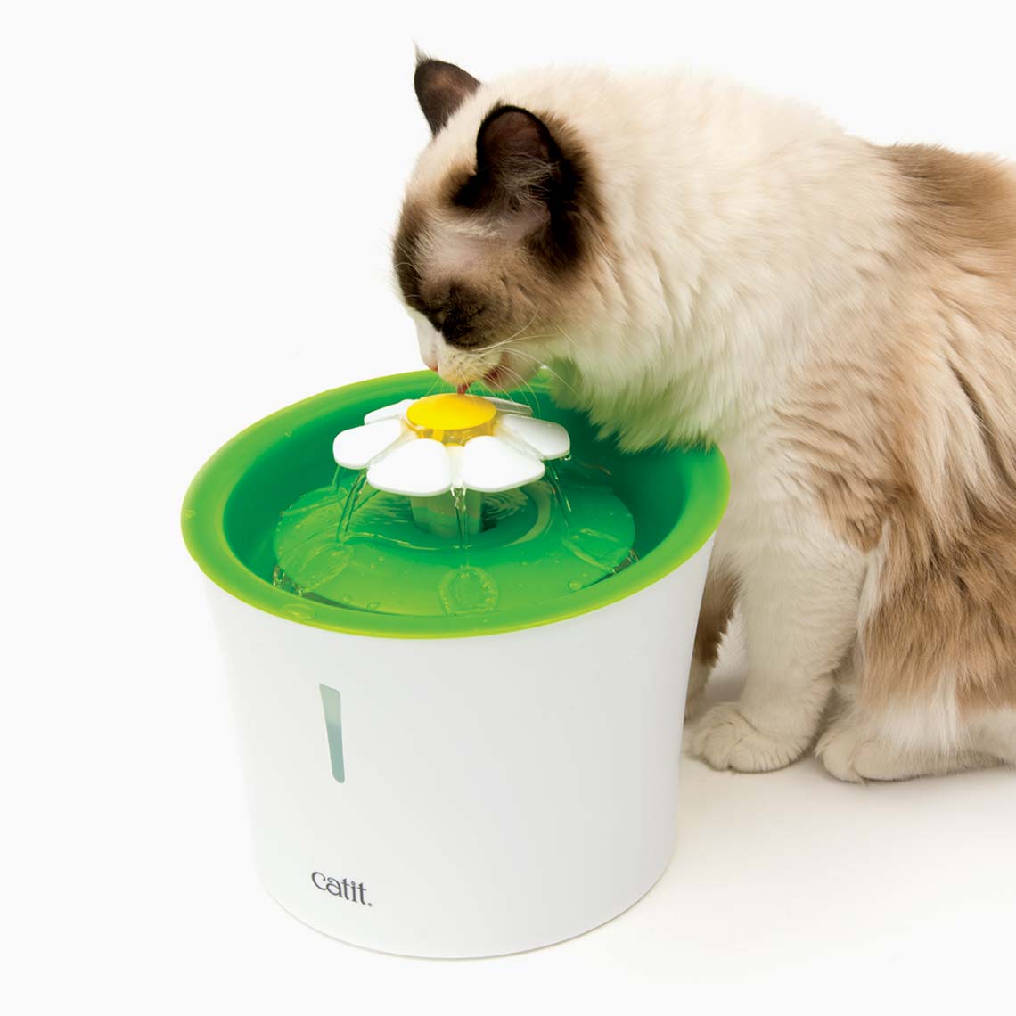 Catit