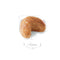 Royal Canin Cocker Spaniel Adult Dry Dog Food
