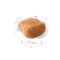 Royal Canin Poodle Adult Dry Dog Food