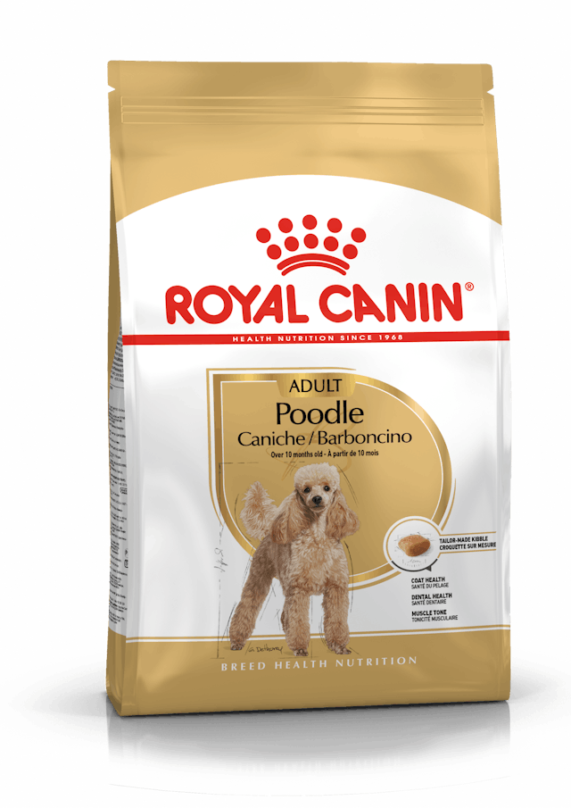 Royal Canin Poodle Adult Dry Dog Food