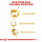 Royal Canin Poodle Adult Dry Dog Food