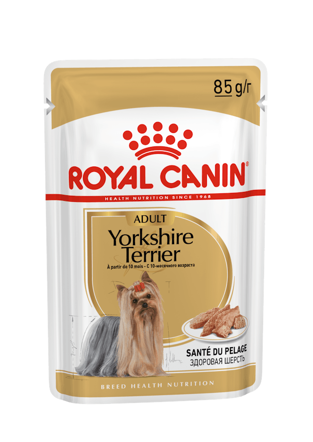 Royal Canin Yorkshire Terrier Adult Wet Dog Food