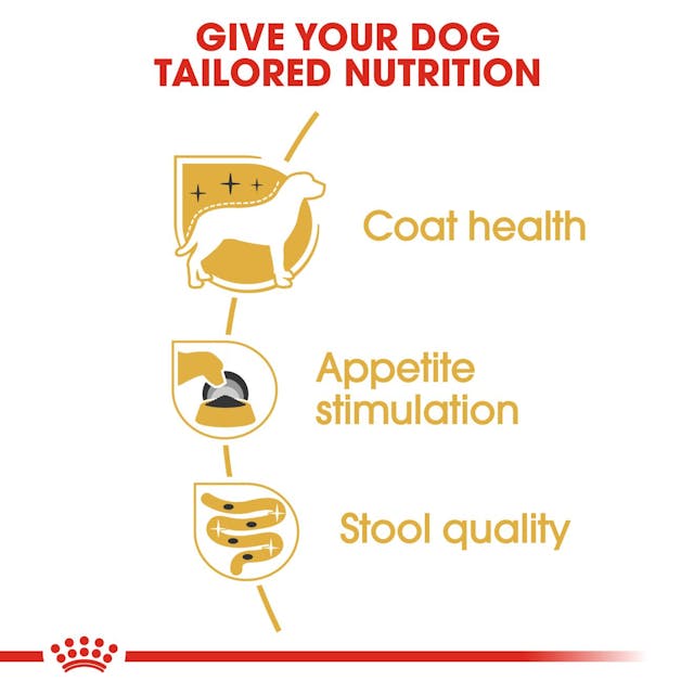 Royal Canin Yorkshire Terrier Adult Wet Dog Food