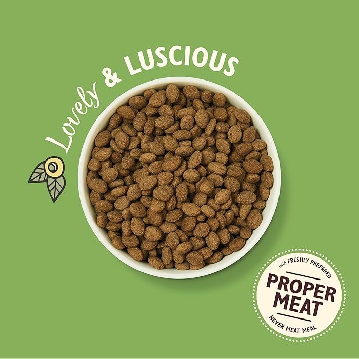 Lily's Kitchen Shepherd's Pie Lamb Grain Free Adult Dry Dog Food