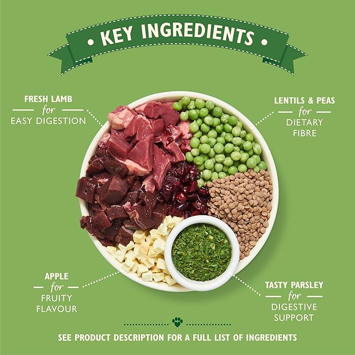 Lily's Kitchen Shepherd's Pie Lamb Grain Free Adult Dry Dog Food
