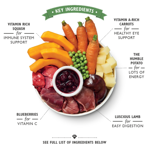 Lily's Kitchen Lamb Hotpot Wet Dog Food