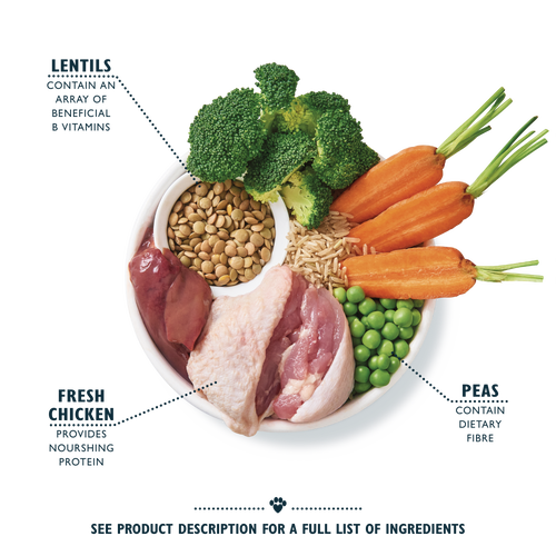 Lily's Kitchen Organic Chicken Bake with Vegetable & Herb Adult Dry Dog Food