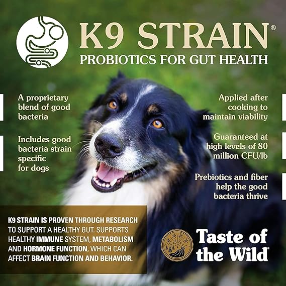 Taste of The Wild Ancient Mountain Lamb Dry Dog Food
