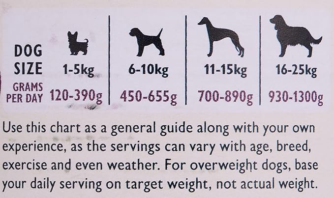 Lily's Kitchen Senior Dog Recipe Wet Food