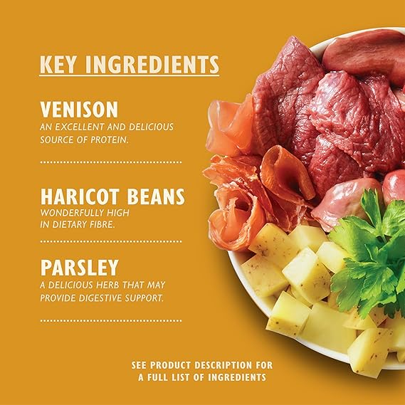 Lily's Kitchen Great British Breakfast Wet Dog Food