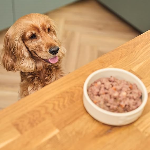 Lily's Kitchen Great British Breakfast Wet Dog Food