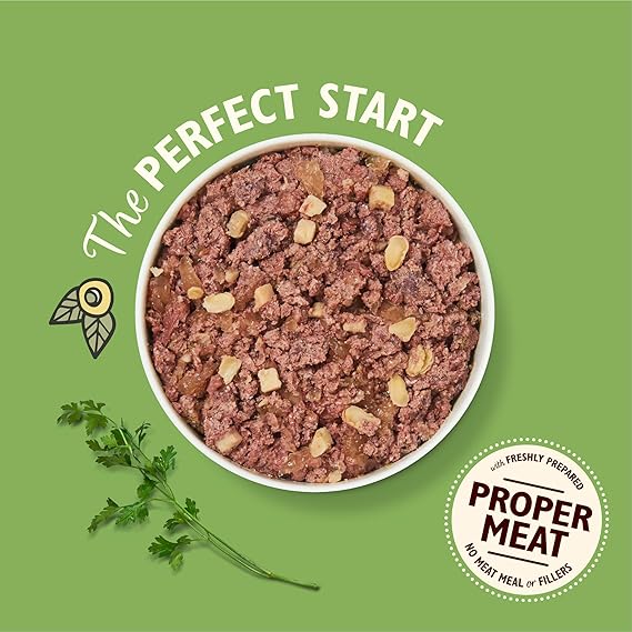 Lily's Kitchen Great British Breakfast Wet Dog Food