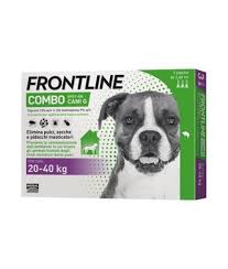 Frontline