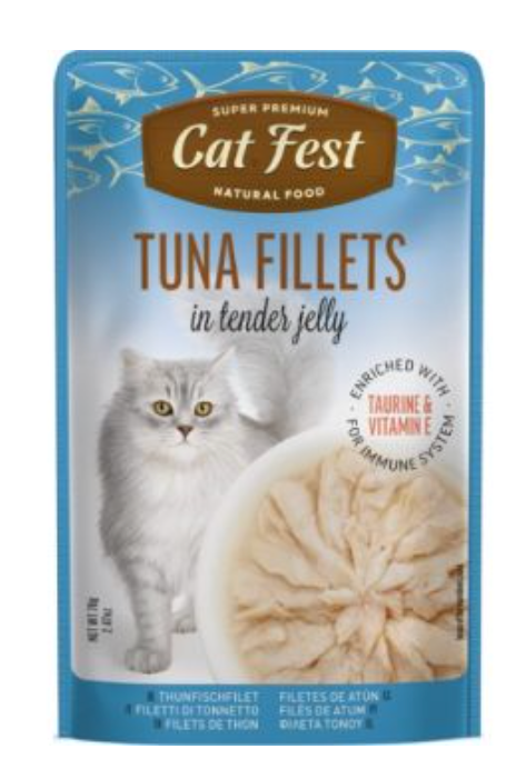 Cat Fest