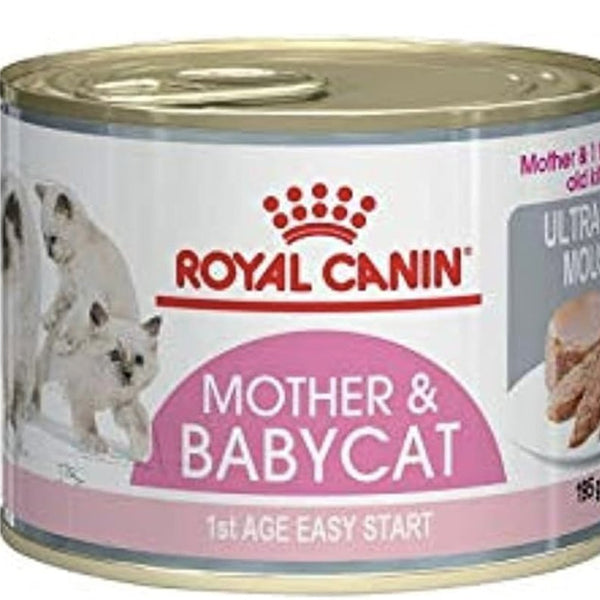 Royal Canin Feline Health Nutrition Kitten Sterilised Jelly Wet Food Pouches
