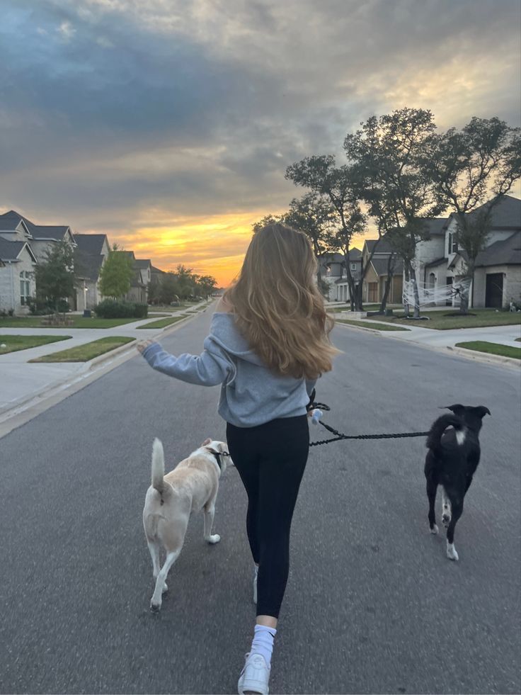 Dog walking - burj khalifa area