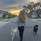 Dog walking - burj khalifa area