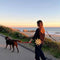 Dog walking - burj khalifa area