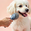 Pet gooming - burj khalifa area - vendor-1