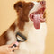 Dog gooming - sharjah area