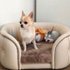 Pet Day Boarding - Burj Khalifa Area Vendor 2