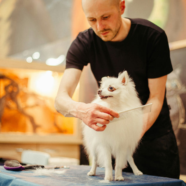 Pet Grooming